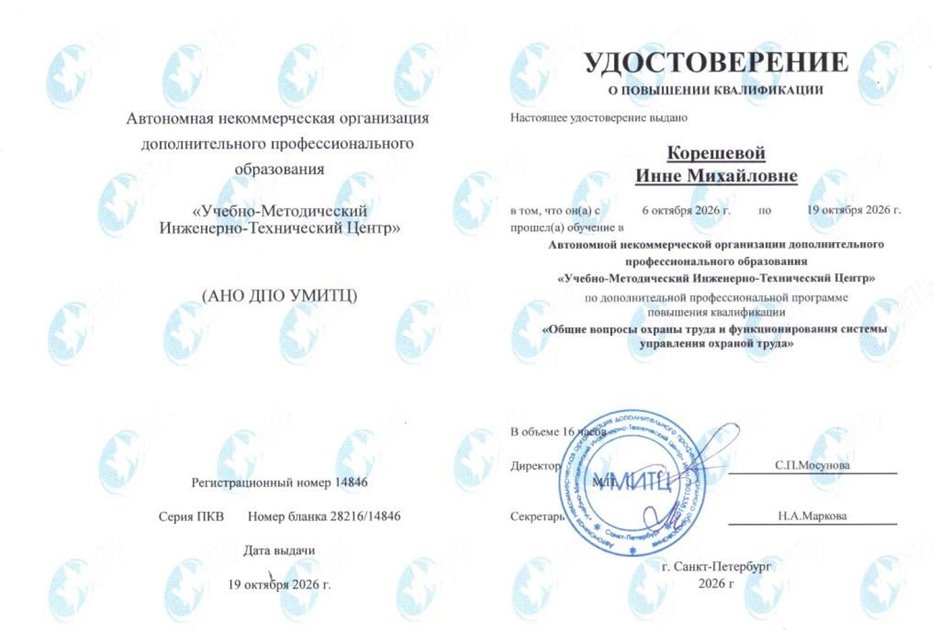 Корешева Инна Михайловна 2026-2027